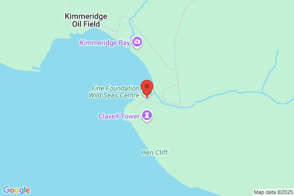 Purbeck Marine Wildlife Reserve