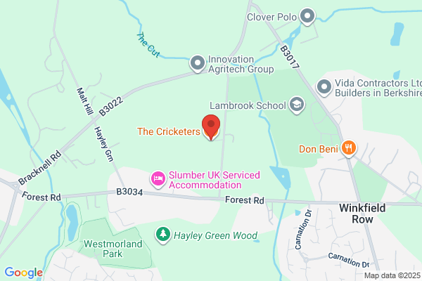 The Cricketers
