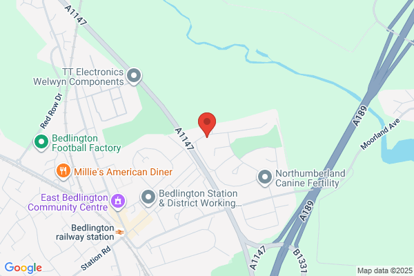 Amble Removals