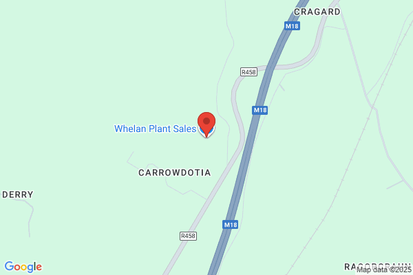 Whelan Plant