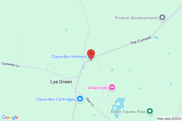 Ardenhill Kennels & Cattery