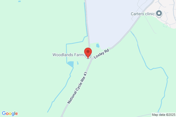 Woodland