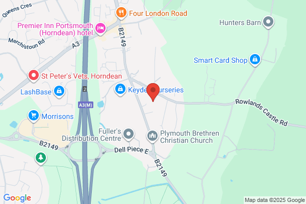 MSD Consult UK Ltd