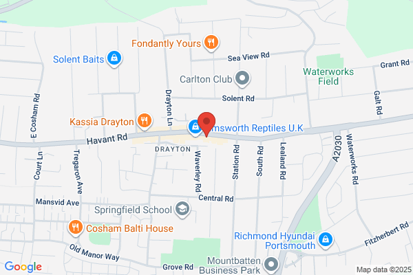 Cosham Dog Grooming Ltd