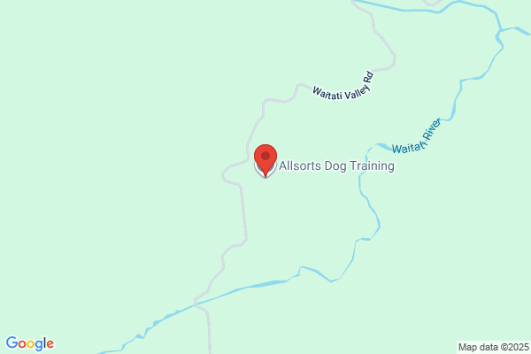 Allsorts Dog Training