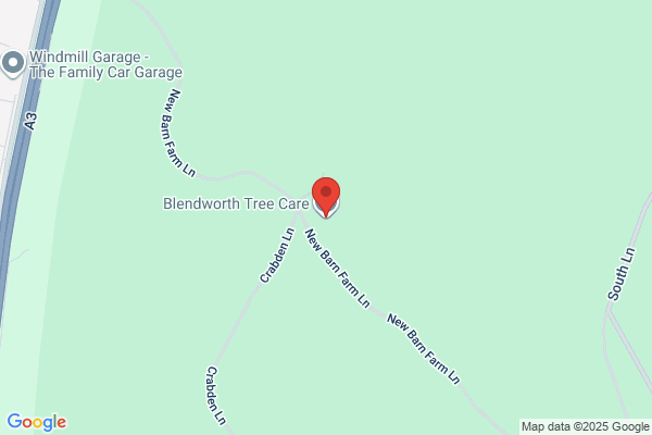Blendworth Tree Surgeons
