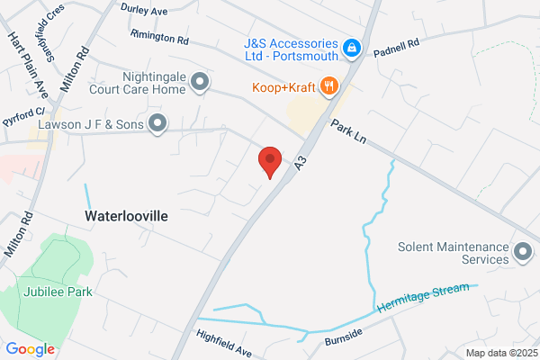 Sycamore Tree Surgeons