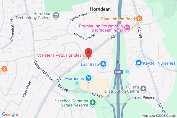 St Peter's Vets, Horndean