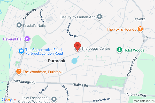 Paws dog walking service