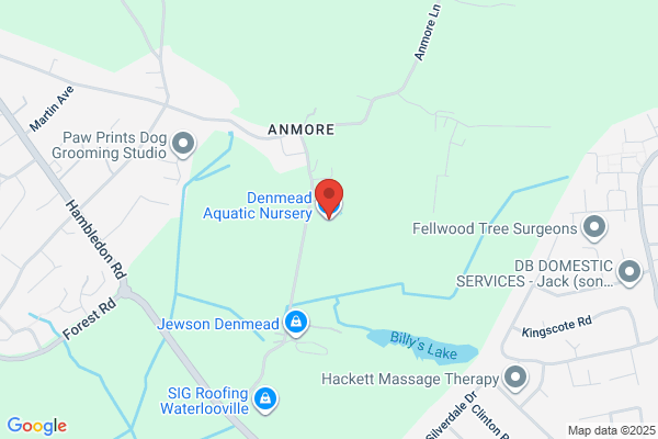Denmead Aquatic Nursery