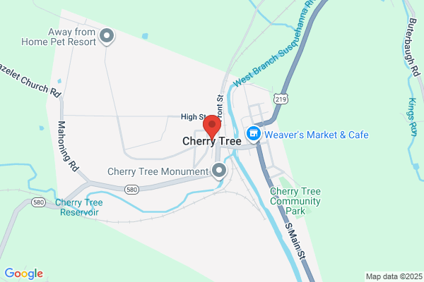 Cherry Tree