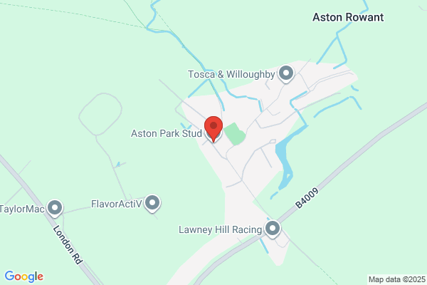 Aston Park Stud