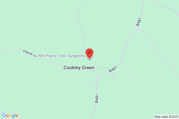 N.H. Payne Tree Surgeons