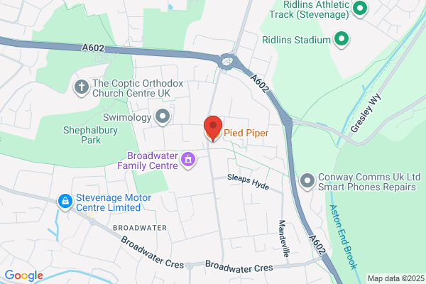 The Pied Piper