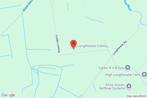 Longthwaite House Cattery