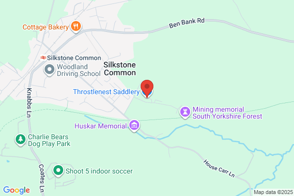 Throstle Nest