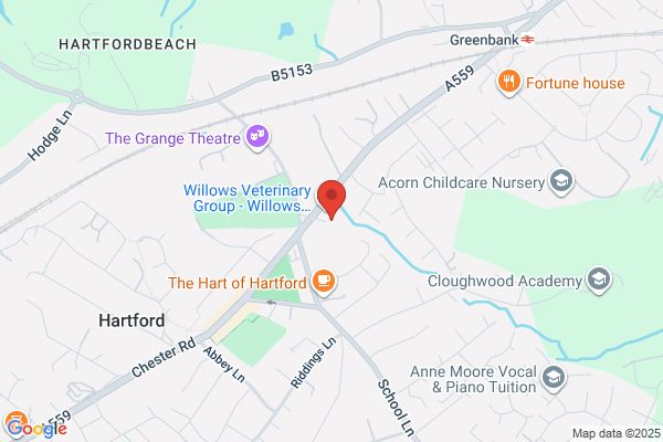 Oakwood Veterinary Referrals