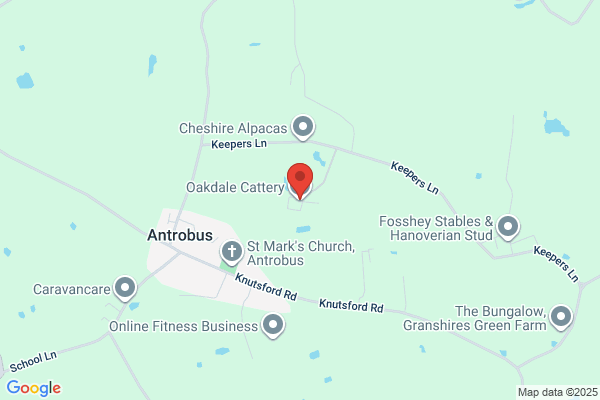 Oakdale Cattery