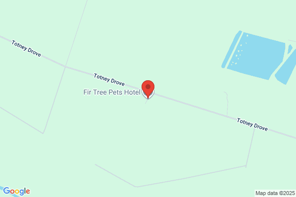 Fir Tree Pets Hotel