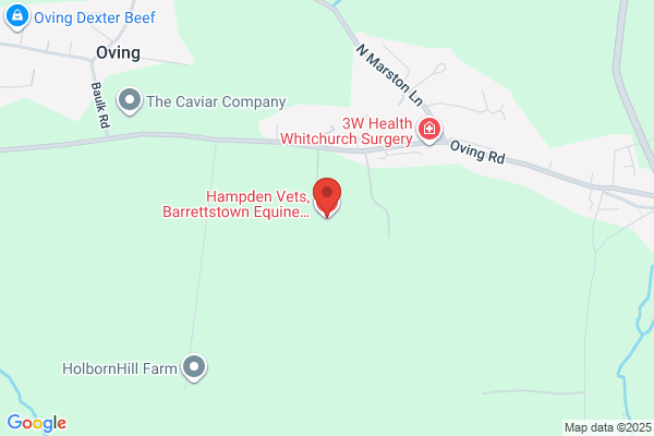 Hampden Vets, Barrettstown Equine Clinic