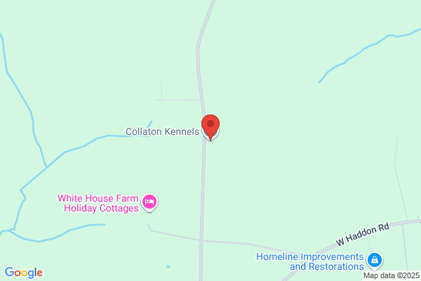 Collaton Kennels Ltd