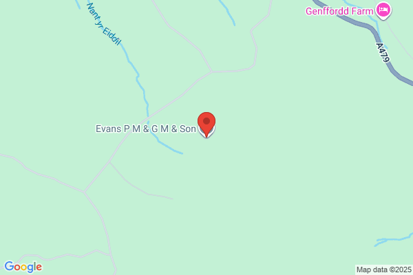 P M Evans