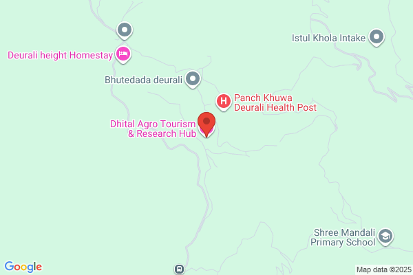 A P Dhital
