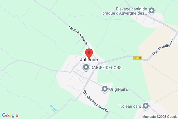 Julienne