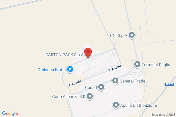 Cartonpak Ltd