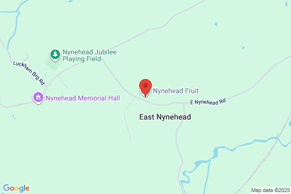 Nynehead Fruit