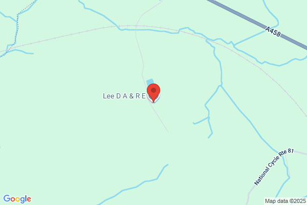 D A Lee