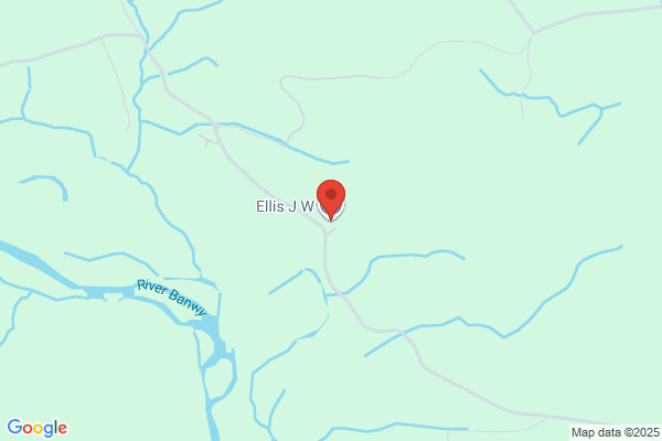 H G Ellis & Co
