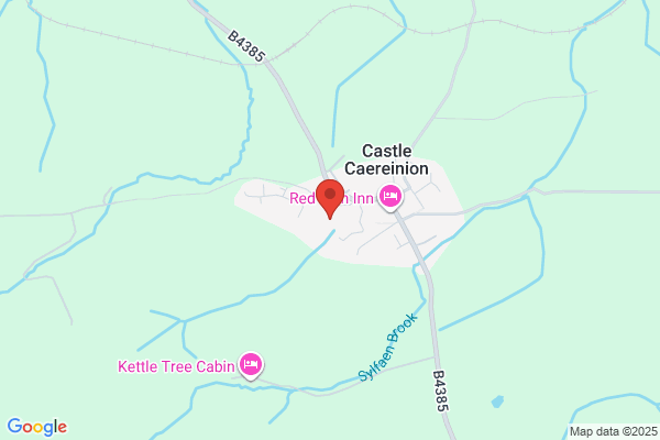 Castle Caereinion Church In Wales Primary