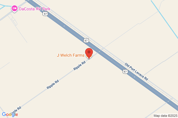 J Welch