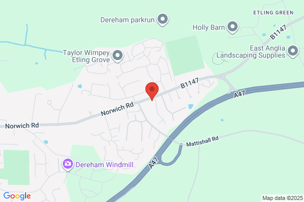 David W Dawson