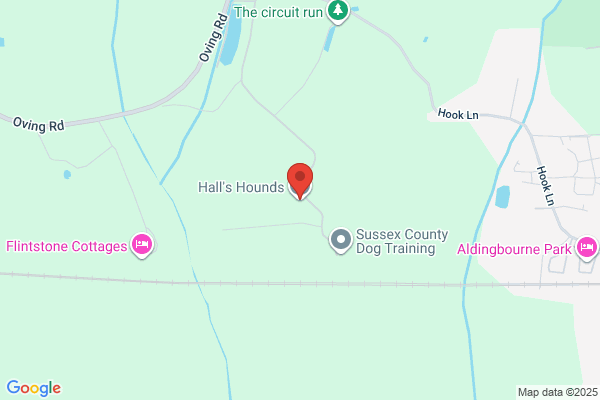 Hals Hounds