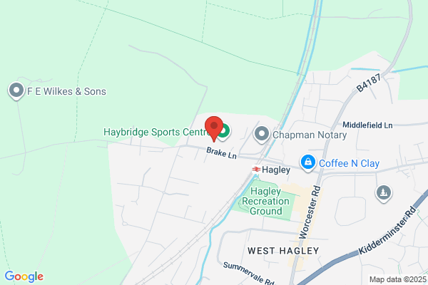 Haybridge High School
