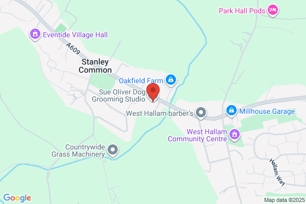 Sue Oliver Dog Grooming Studio LTD