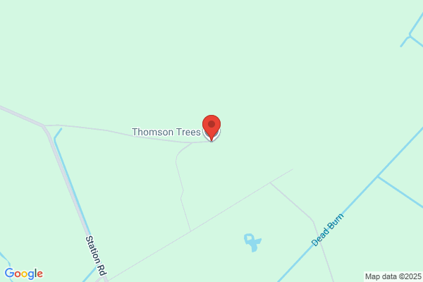 Thomson Trees