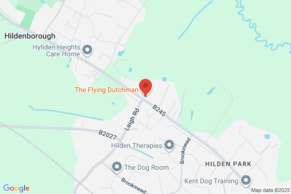 The Flying Dutchman