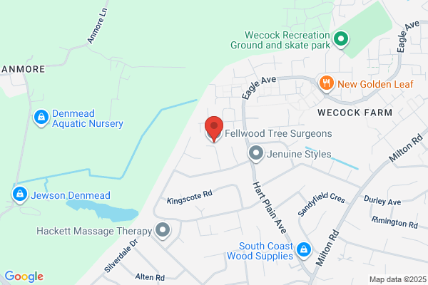 Fellwood Tree Surgeons Ltd