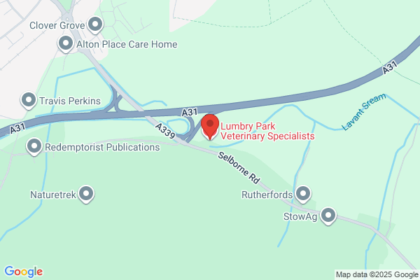 Lumbry Park Veterinary Specialists