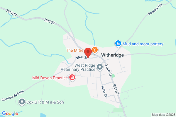 Central Convenience, Witheridge
