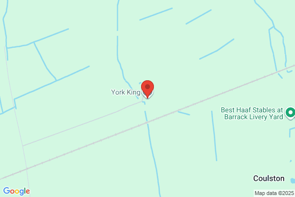 York King Ltd