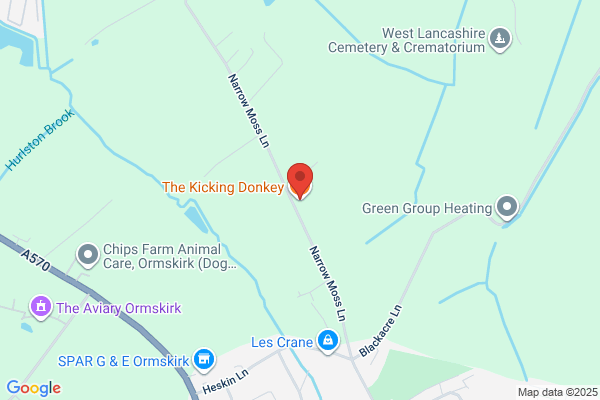 The Kicking Donkey