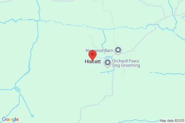 Hiscott