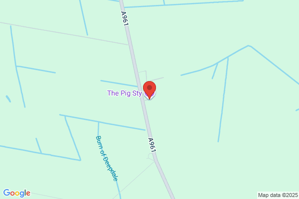 The Quiet Piggy