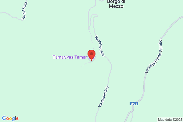 Tamar De Vane