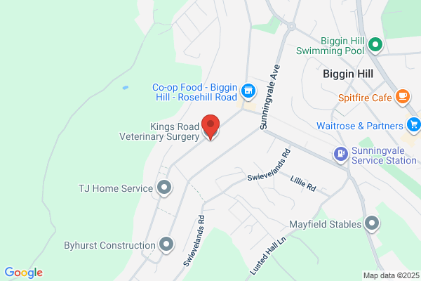 Anderson Veterinary Surgery
