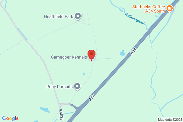 Gamegoer Kennels